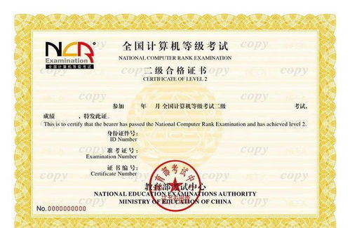 系統(tǒng)集成項(xiàng)目管理工程師與計(jì)算機(jī)二級(jí)認(rèn)證的區(qū)分